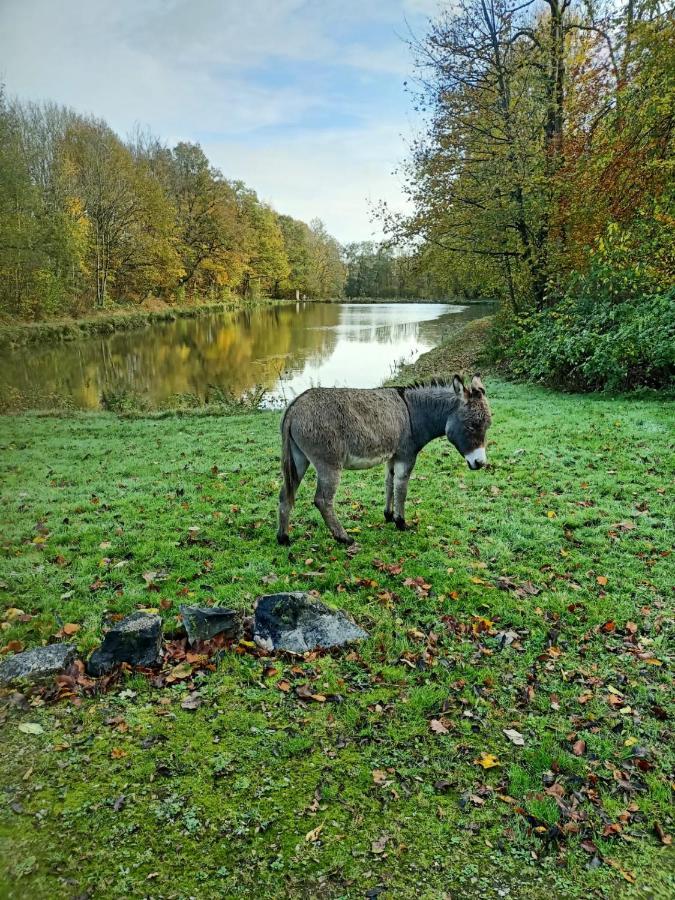 Deux Etangs Poissonneux Au Milieu Des Bois Avec Gite Moderne, La Halte Des Deux Lacs Rosée Εξωτερικό φωτογραφία