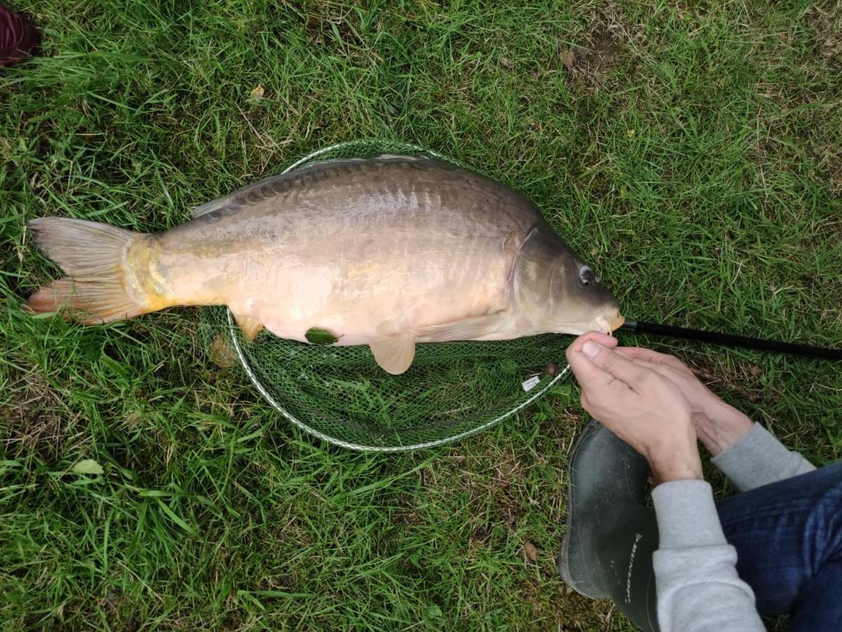 Deux Etangs Poissonneux Au Milieu Des Bois Avec Gite Moderne, La Halte Des Deux Lacs Rosée Εξωτερικό φωτογραφία