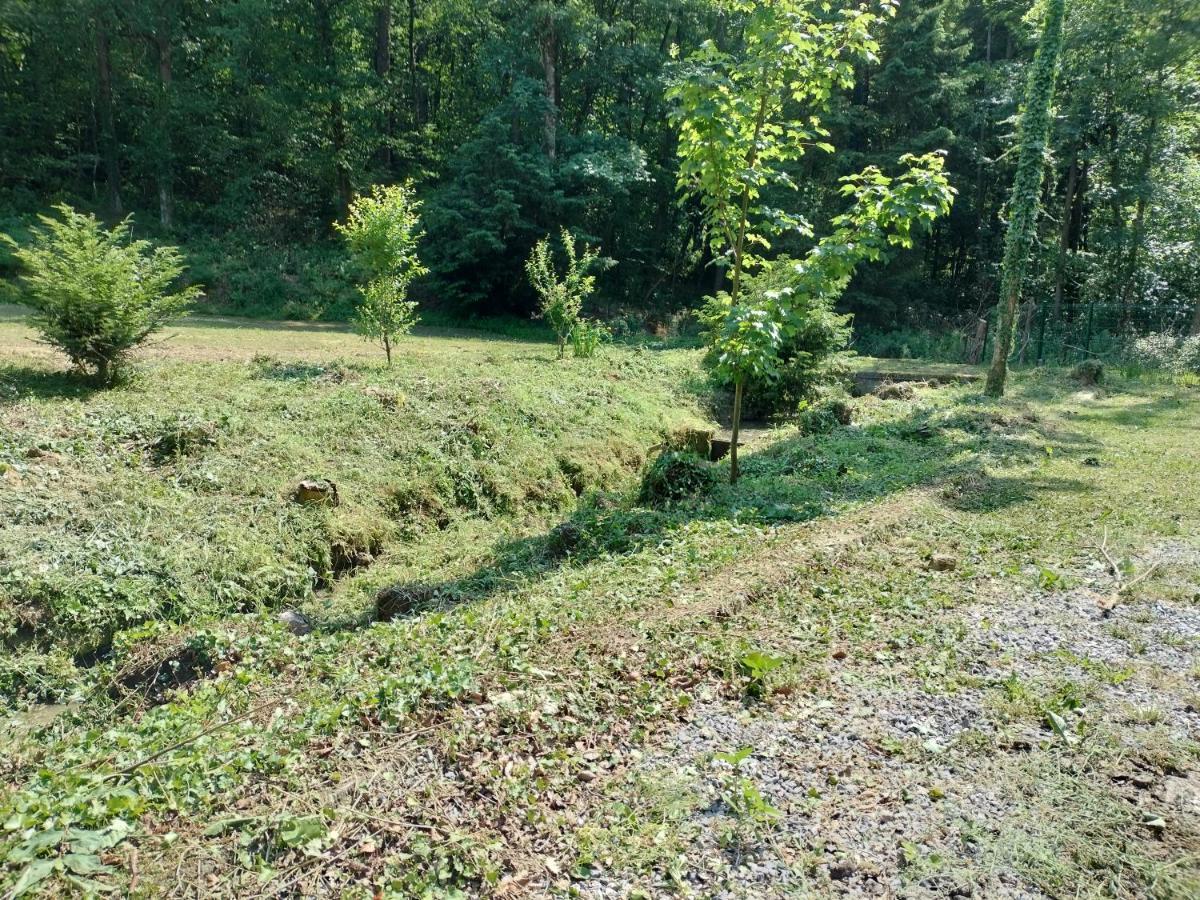 Deux Etangs Poissonneux Au Milieu Des Bois Avec Gite Moderne, La Halte Des Deux Lacs Rosée Εξωτερικό φωτογραφία