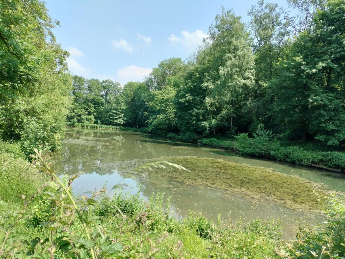 Deux Etangs Poissonneux Au Milieu Des Bois Avec Gite Moderne, La Halte Des Deux Lacs Rosée Εξωτερικό φωτογραφία