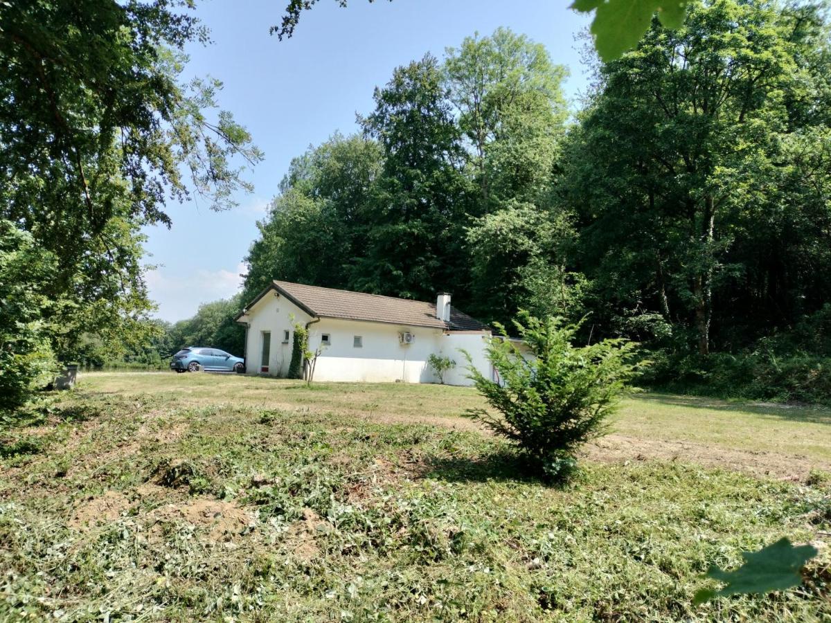 Deux Etangs Poissonneux Au Milieu Des Bois Avec Gite Moderne, La Halte Des Deux Lacs Rosée Εξωτερικό φωτογραφία